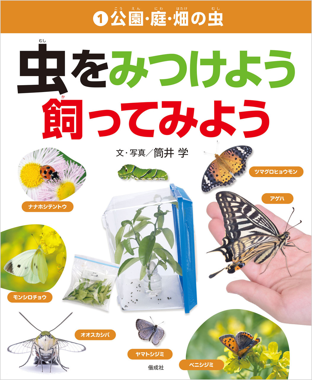 公園・庭・畑の虫 書影