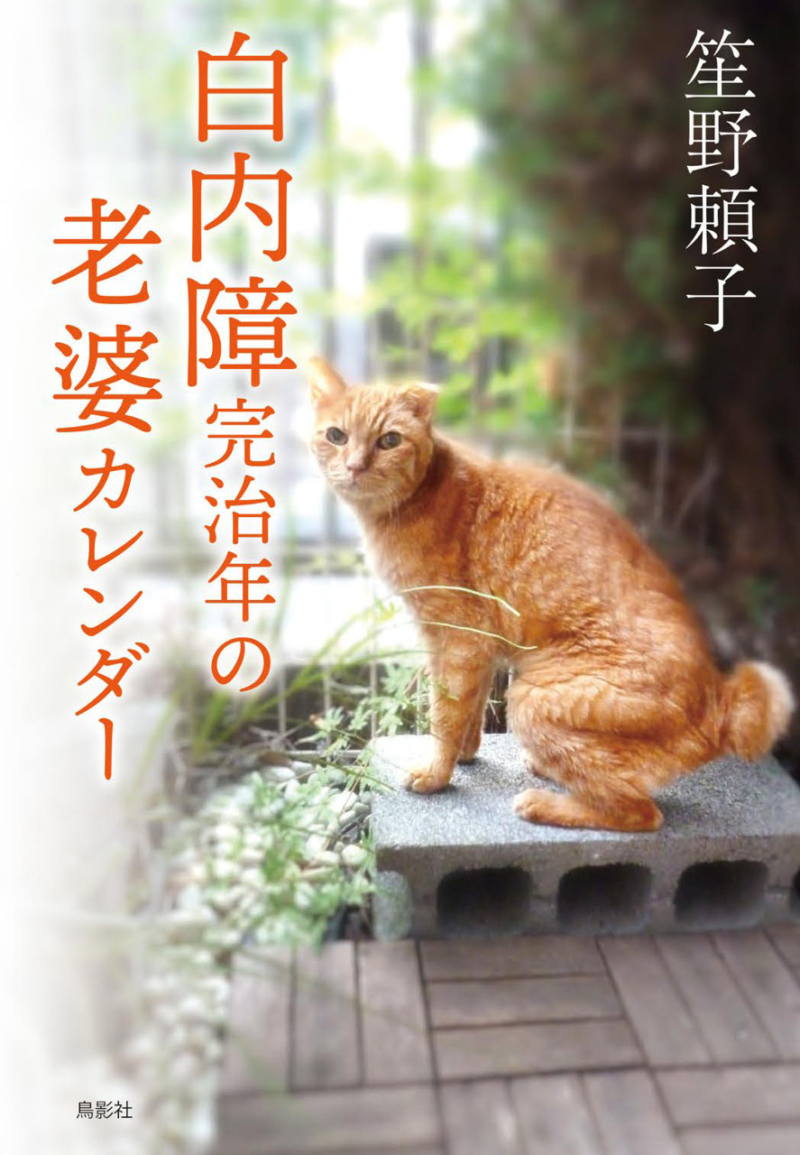 白内障完治年の老婆カレンダー 書影