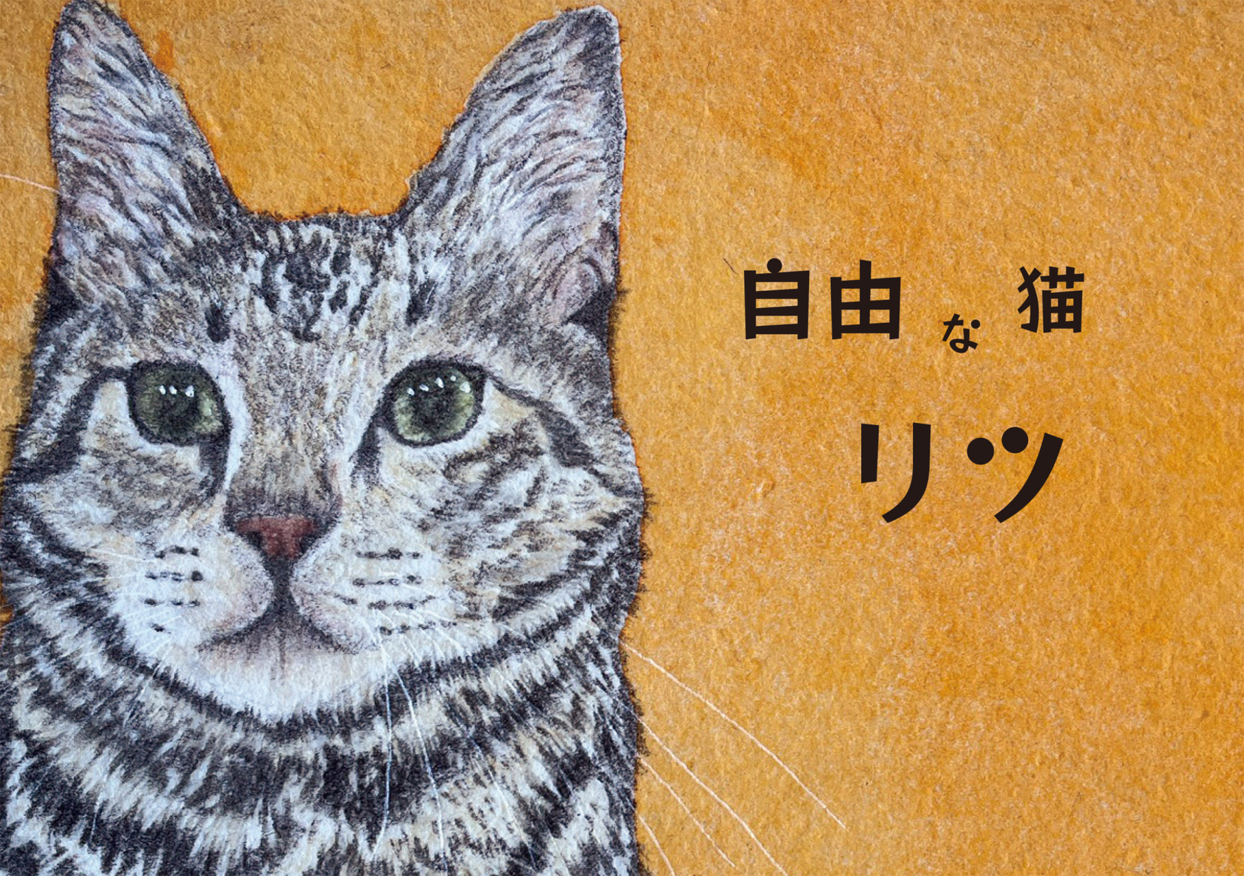 書影