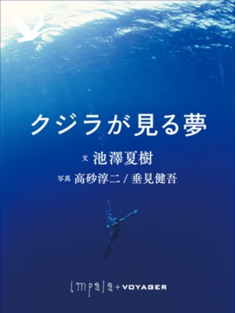 クジラが見る夢 書影