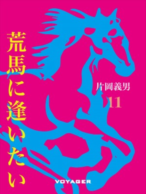 荒馬に逢いたい 書影