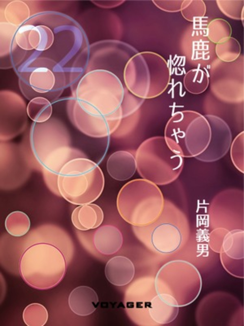 馬鹿が惚れちゃう 書影
