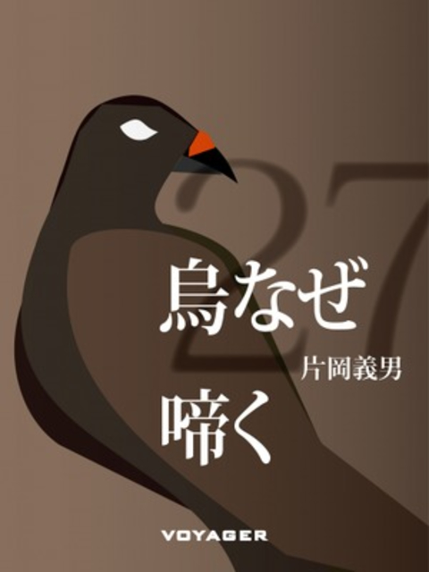 烏なぜ啼く 書影