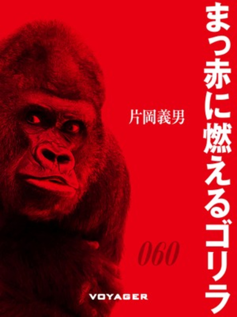まっ赤に燃えるゴリラ 書影