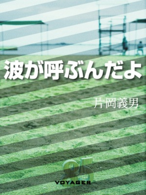 波が呼ぶんだよ 書影