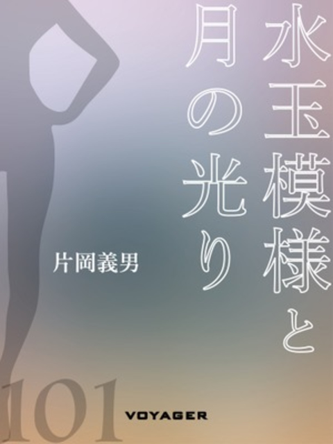 水玉模様と月の光り 書影