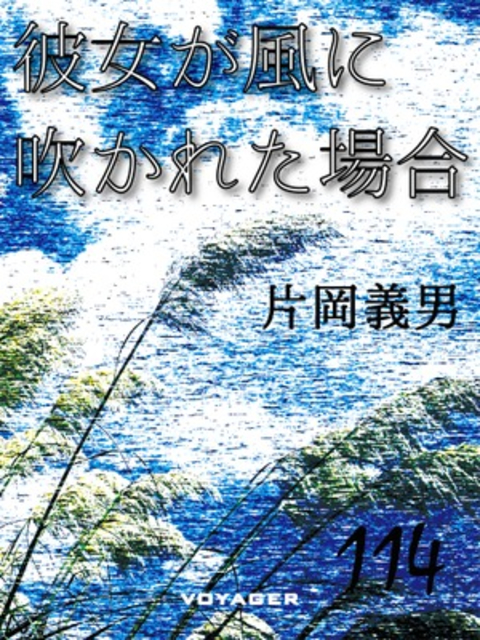 彼女が風に吹かれた場合 書影