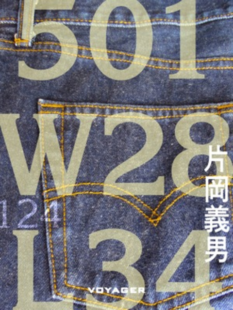 501 W28 L34 書影