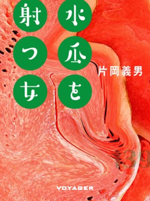 水瓜を射つ女 書影