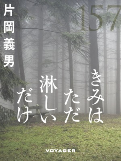 きみはただ淋しいだけ 書影
