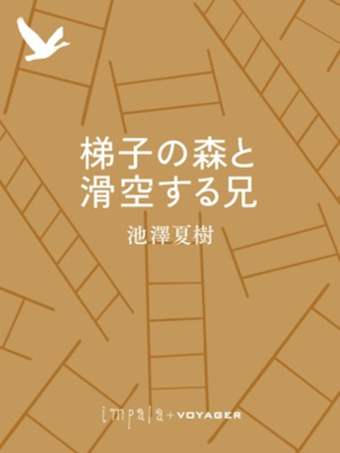 梯子の森と滑空する兄 書影