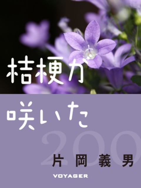 桔梗が咲いた 書影