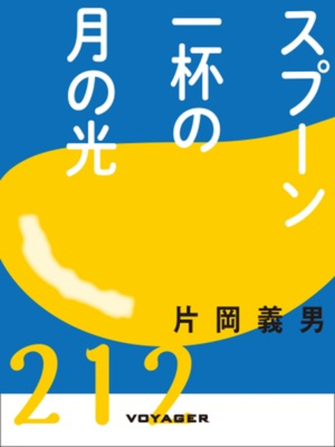 スプーン一杯の月の光 書影