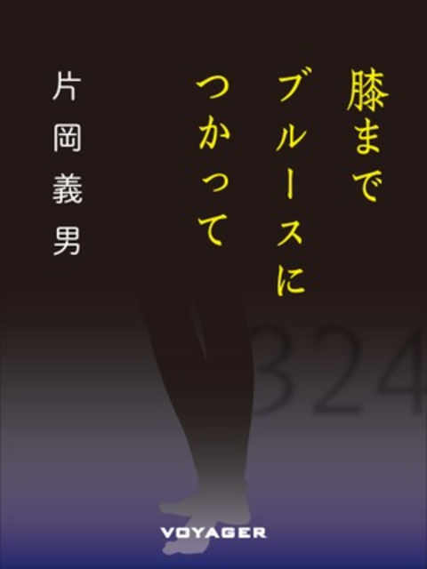 膝までブルースにつかって 書影