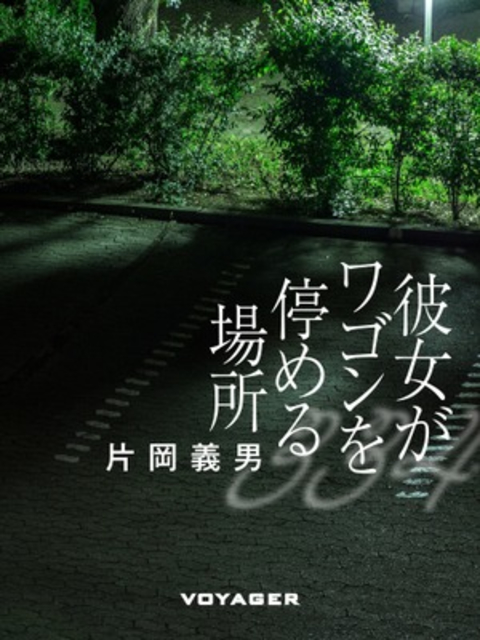 彼女がワゴンを停める場所 書影