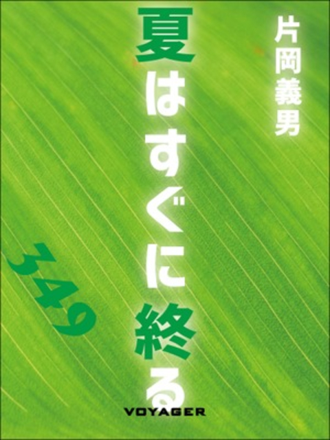 夏はすぐに終る 書影