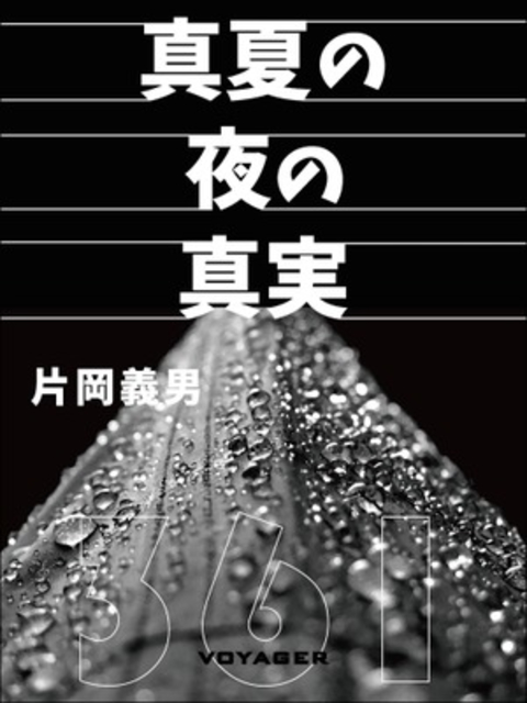 真夏の夜の真実 書影