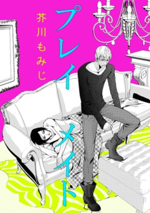 プレイメイト 書影