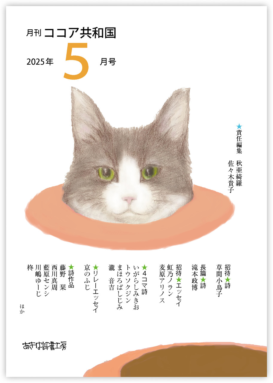 月刊 ココア共和国 2025年5月号 書影