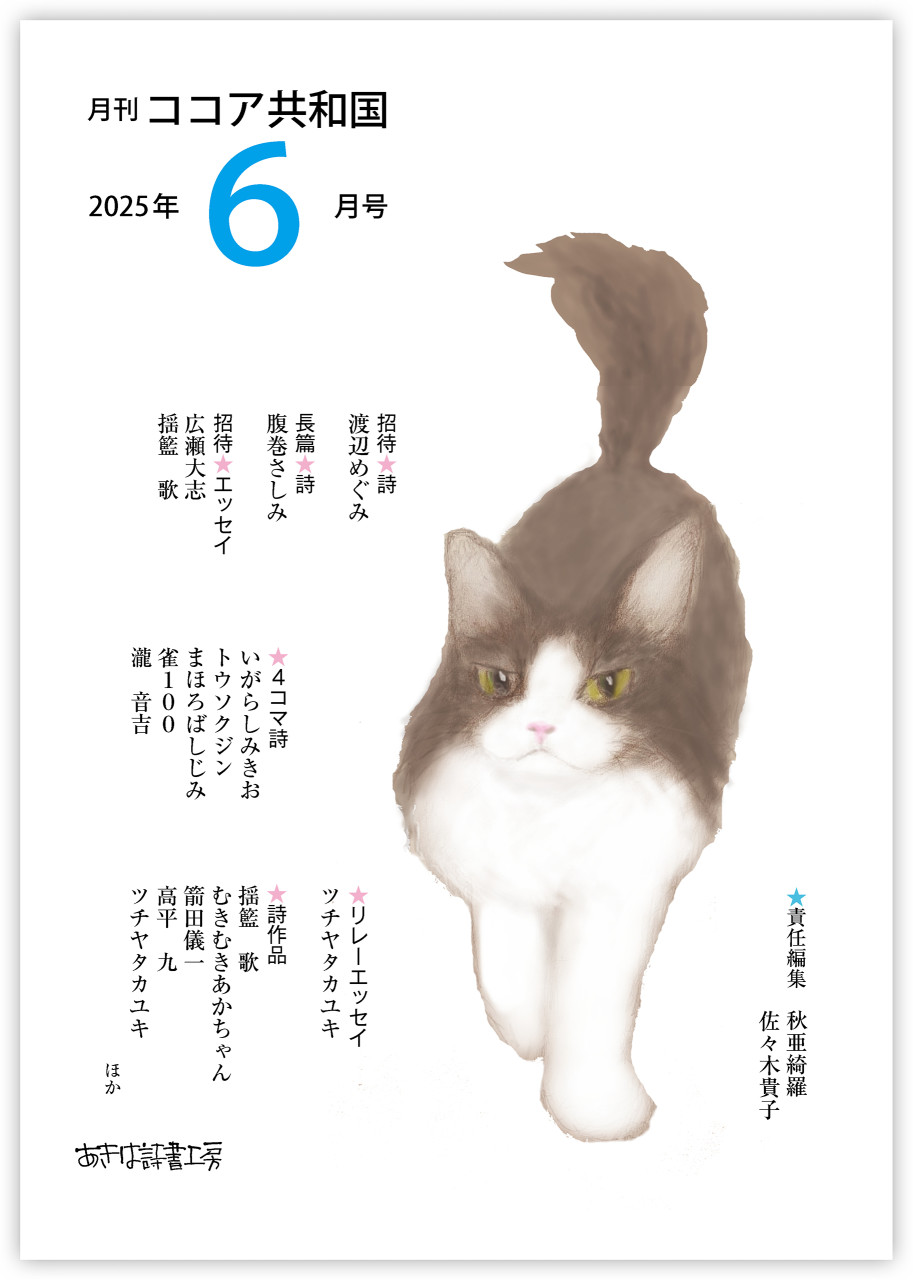 月刊 ココア共和国 2025年6月号 書影