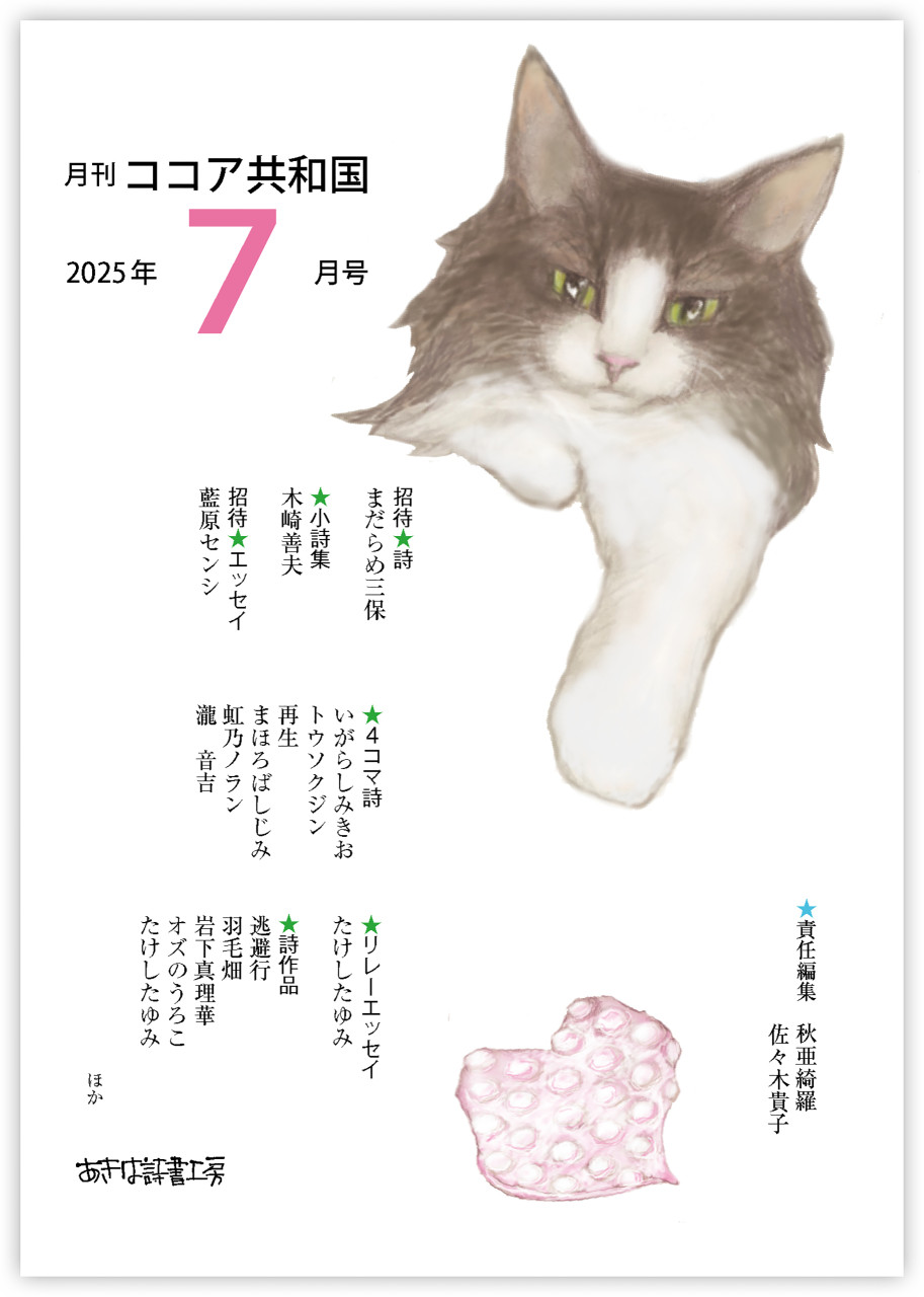 月刊 ココア共和国 2025年7月号 書影