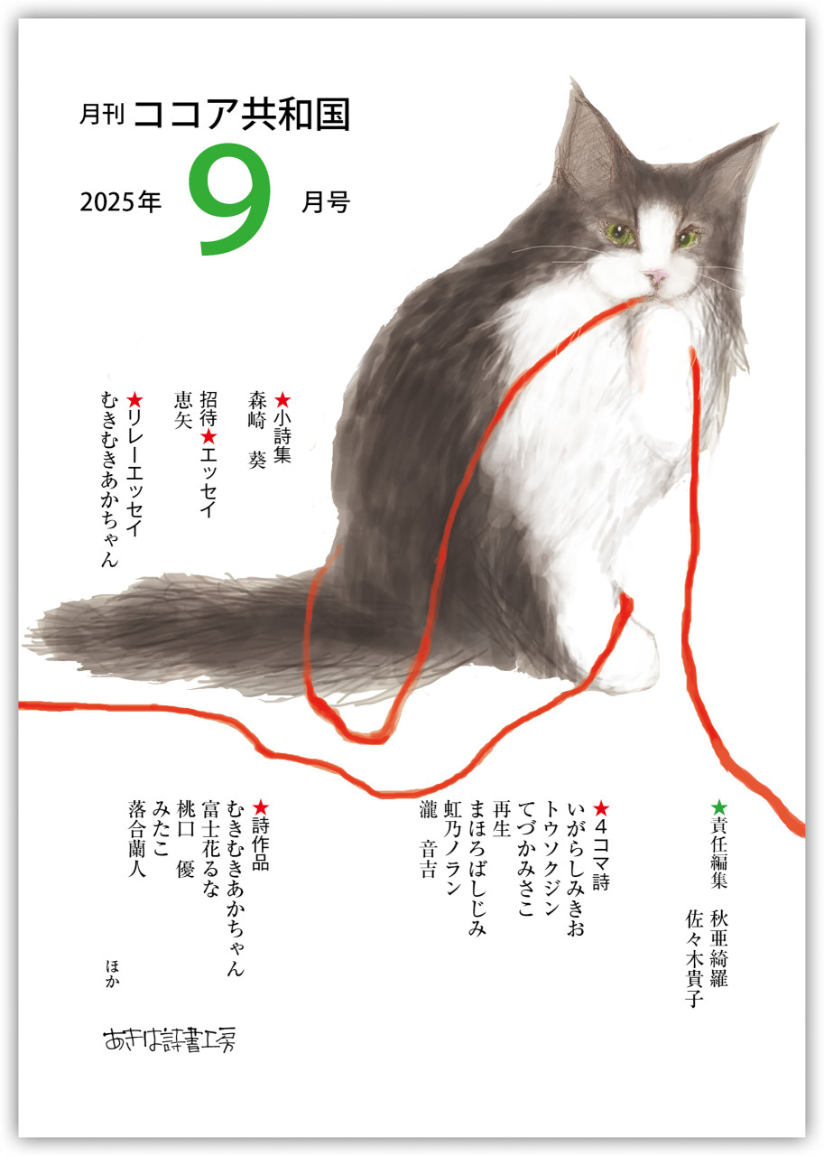 月刊 ココア共和国 2025年9月号 書影
